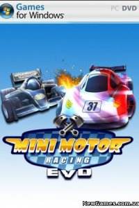 Mini Motor Racing EVO