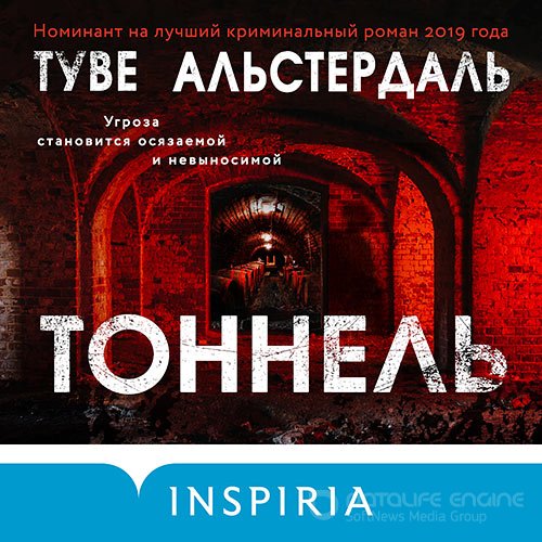 Альстердаль Туве. Тоннель (Аудиокнига)