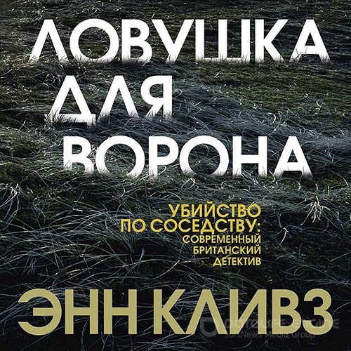 Кливз Энн. Ловушка для ворона (Аудиокнига)