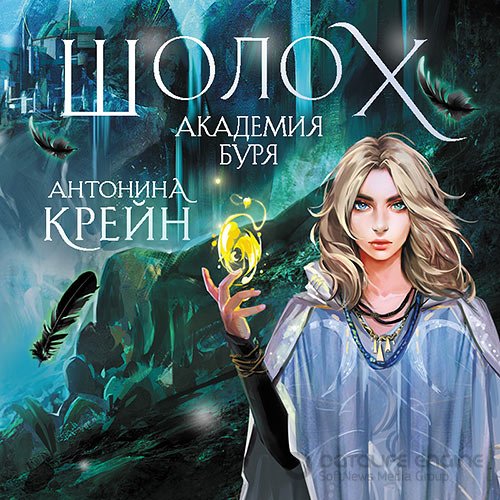 Крейн Антонина. Шолох. Академия Буря (Аудиокнига)